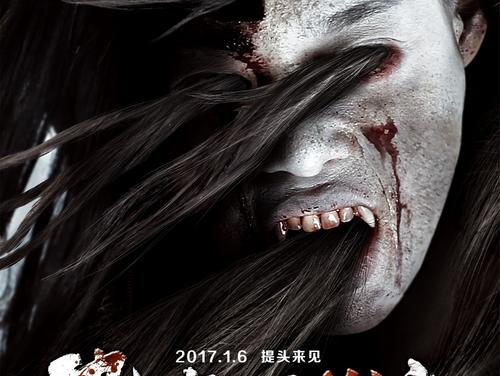 塔拉纳基理工学院经济学文凭证书